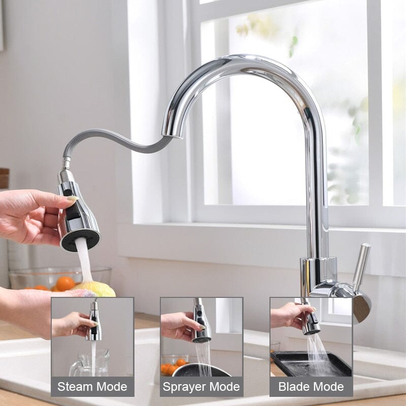 Classic Gourmet Tap for Kitchen