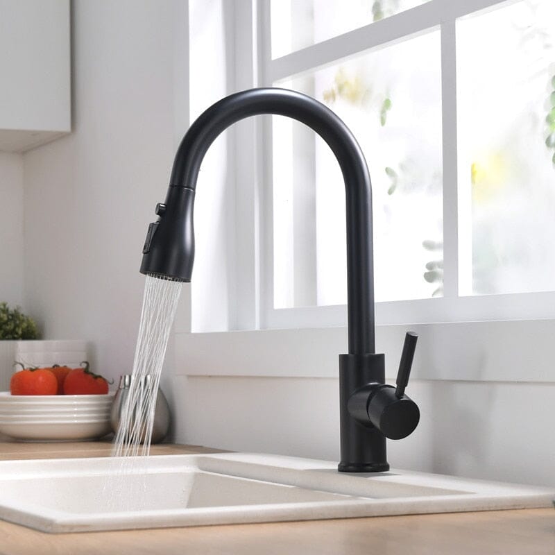 Classic Gourmet Tap for Kitchen