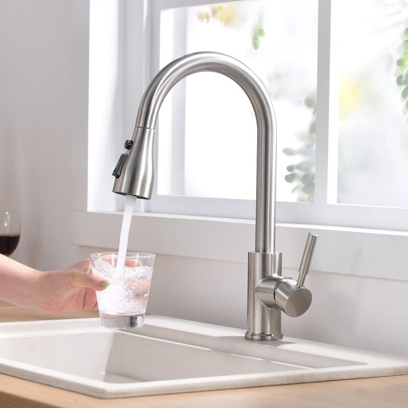 Classic Gourmet Tap for Kitchen