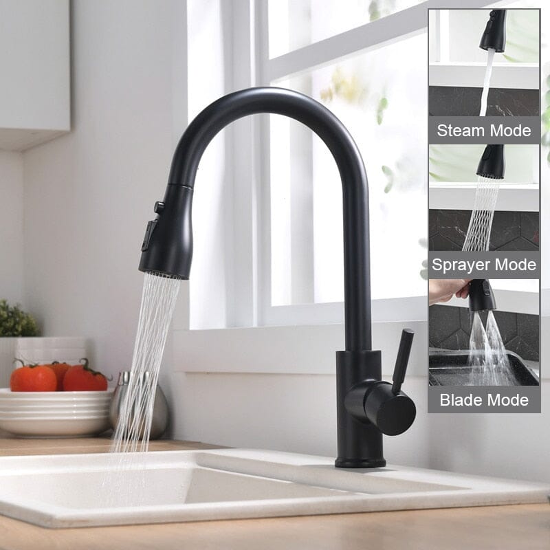 Classic Gourmet Tap for Kitchen
