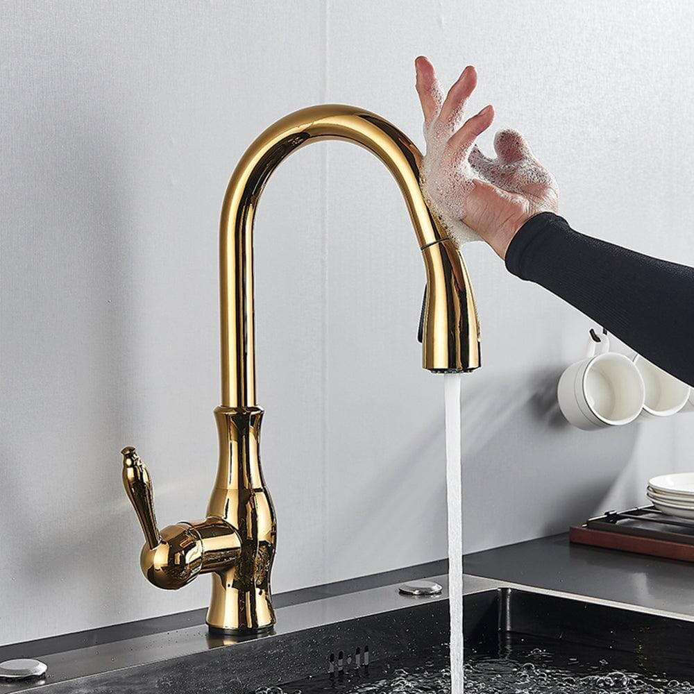Darty Single Lever Extendable Gourmet Kitchen Tap